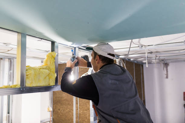 Best Residential Insulation in Monument, CO
